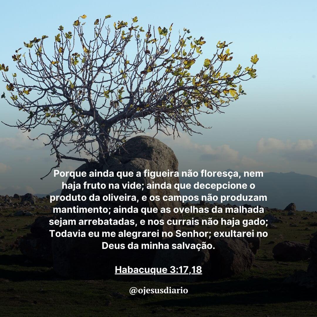 Ainda Que a Figueira Não Floresça - Significado, Frases na Bíblia ~  Versículo do Dia na Bíblia: Leitura diária das Escrituras